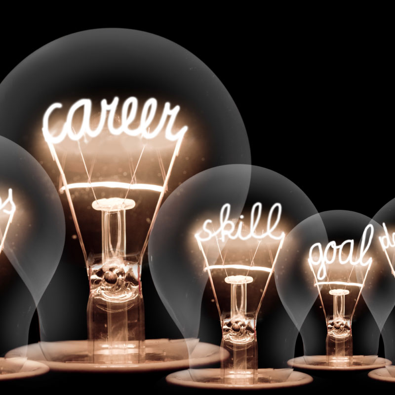 A row of light bulbs with the words " career " written on them.